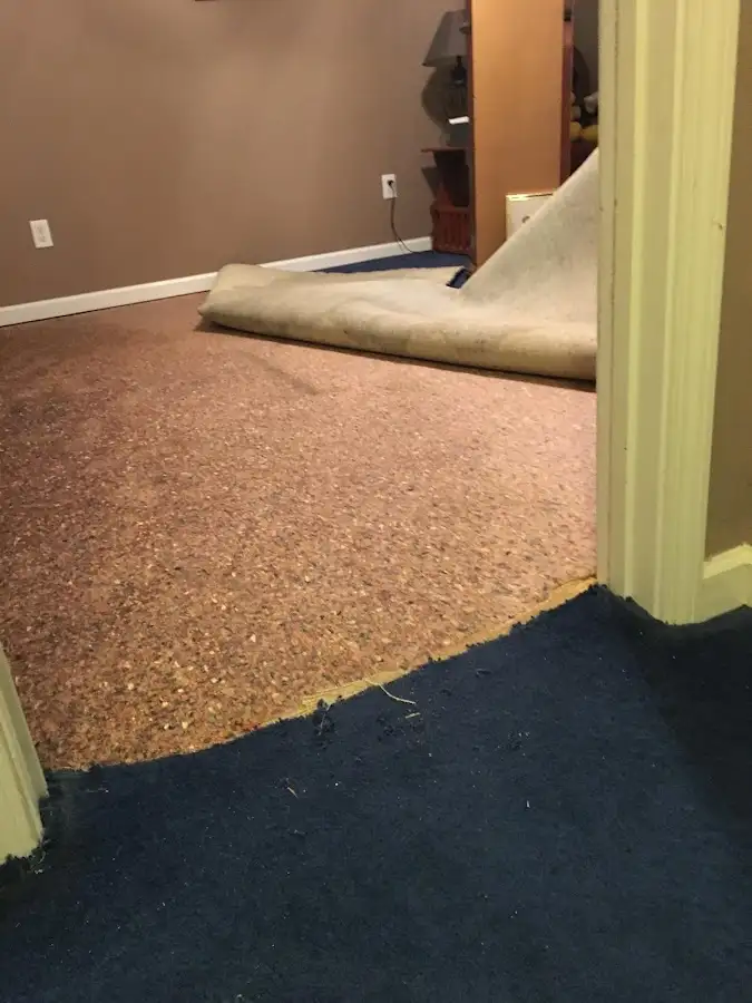 Carpet pad removal revealing water damage during Water Mitigation Services in Rhinebeck