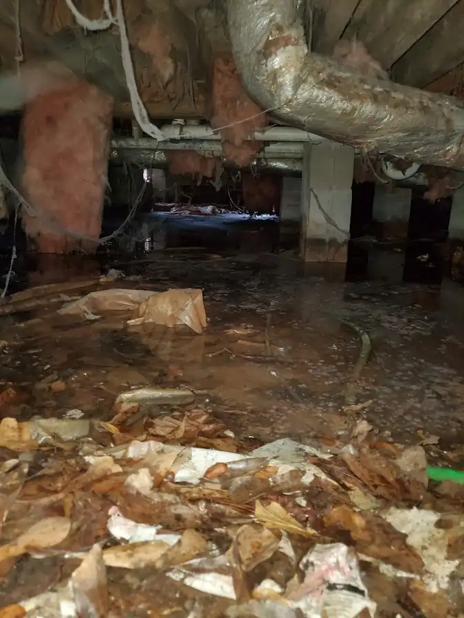 Crawl space flood assessment for Leak Detection & Repair in Rhinebeck