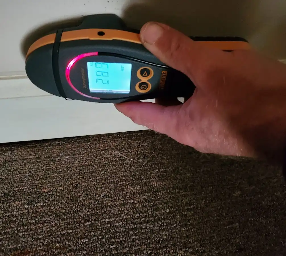 Moisture detection at baseboard during Sewage Cleanup & Sanitation in Rhinebeck